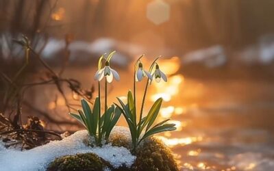 Spring Is Here — And So Is Your Invitation to Reset