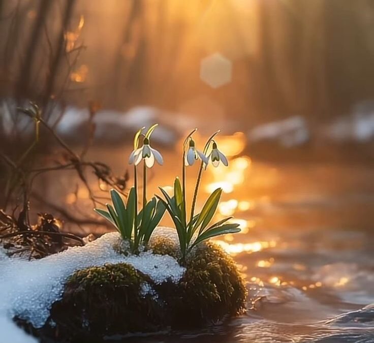 Spring Is Here — And So Is Your Invitation to Reset